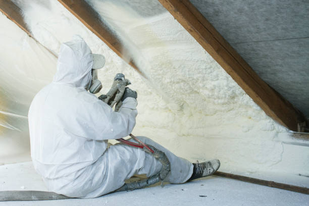 Best Blown-In Insulation  in Hudson, WI